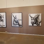 Retrospective at Bay Discovery Ctr 2018 3