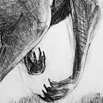 Detail B from Drawing-of-Kangaroo-52-with Michael Chorney