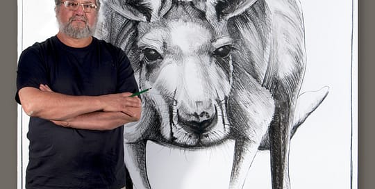 Art work by Michael Chorney in South Australia Drawings of Australian Kangaroos