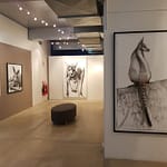 Retrospective at Bay Discovery Ctr 2018
