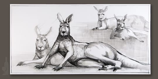 Kangaroo drawing 3 by Michael Chorney