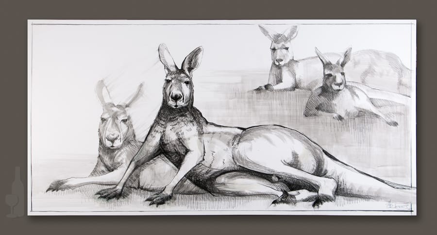 Kangaroo drawing 3 by Michael Chorney