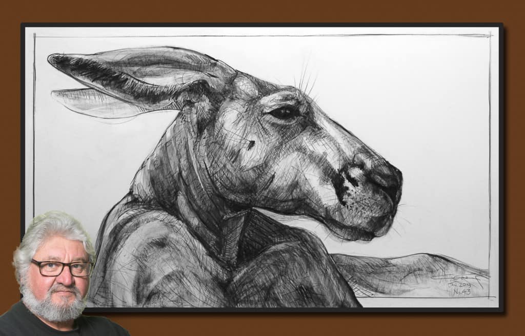 Drawing of Kangaroo 43