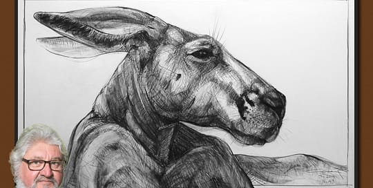 Drawing of Kangaroo 43