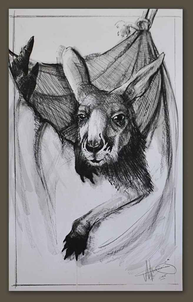 Kangaroo drawing 10 by Michael Chorney