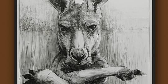 Portrait of kangaroo No.31b