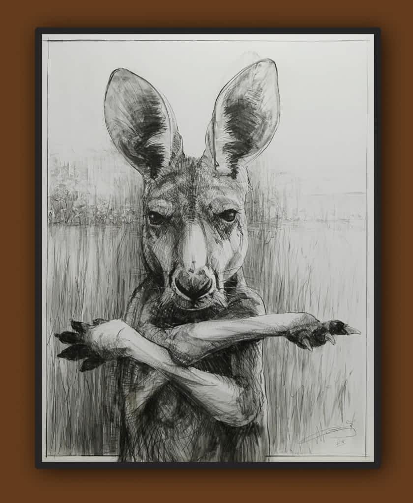 Portrait of kangaroo No.31b