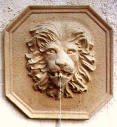 Web Lion Head