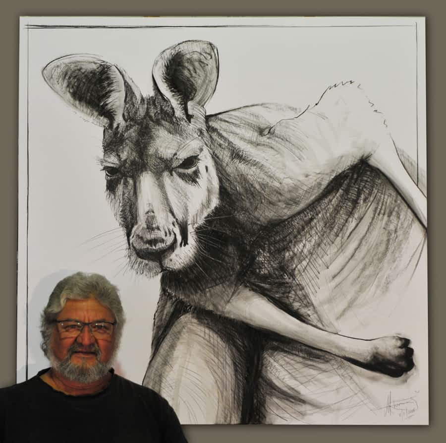 Drawing of Kangaroo 14 by Michael chorney