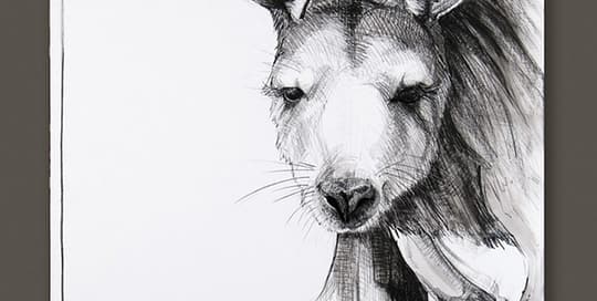 Kangaroo drawing 7 by Michael Chorney