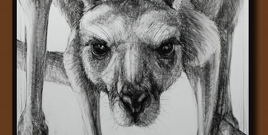 Drawing of Kangaroo 57 with Michael Chorney