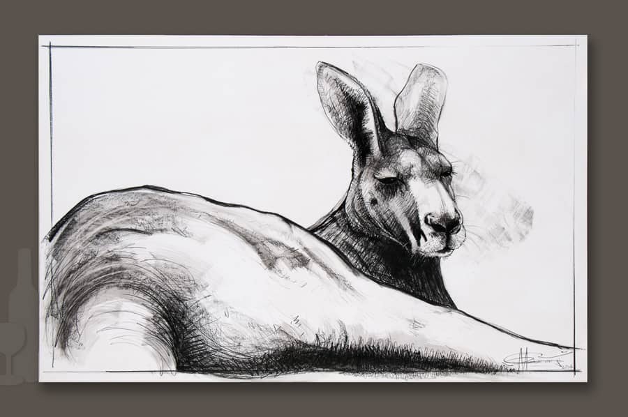 Kangaroo drawing 6 by Michael Chorney