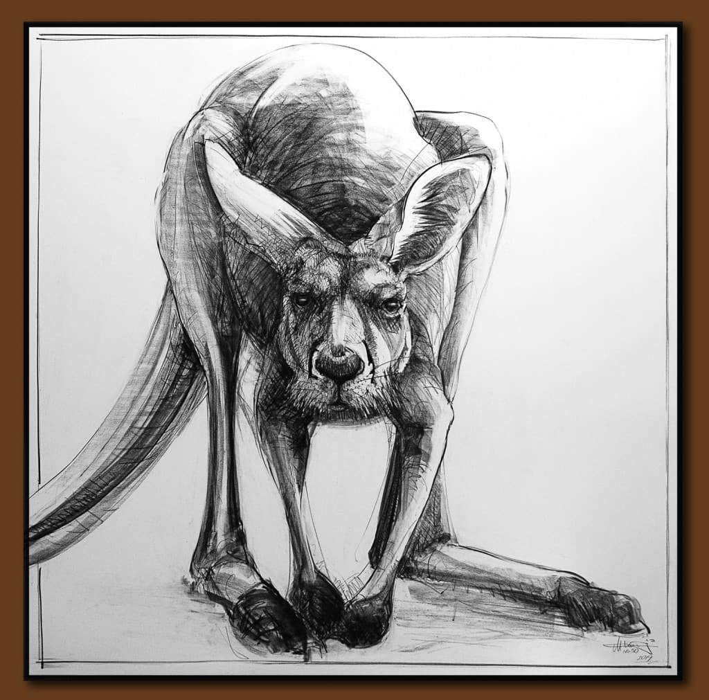 Drawing-of-Kangaroo-50 by Michael Chorney