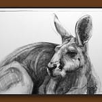 Detail A of Portrait of Kangaroo 44 by Michael Chorney