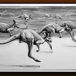 Drawing-of-Kangaroo-54-