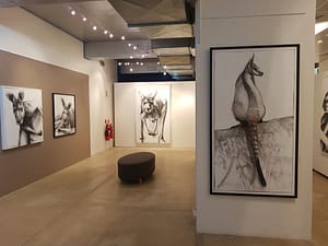 Retrospective at Bay Discovery Ctr 2018